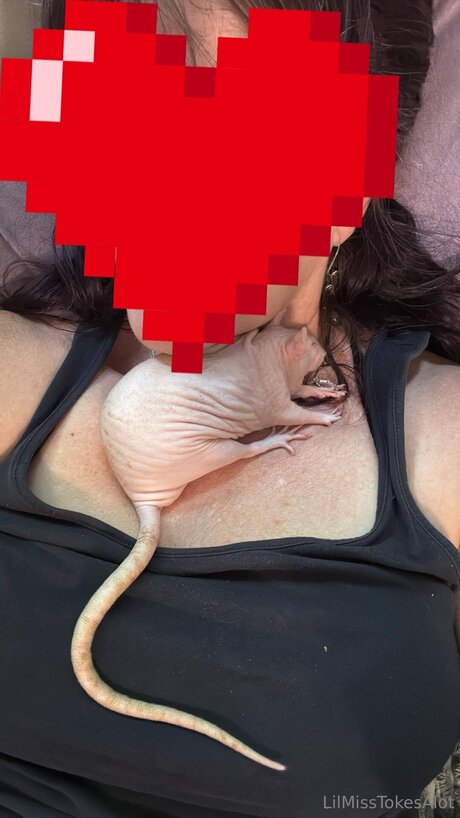 The Buzzing Banshee pornostar freie bilder