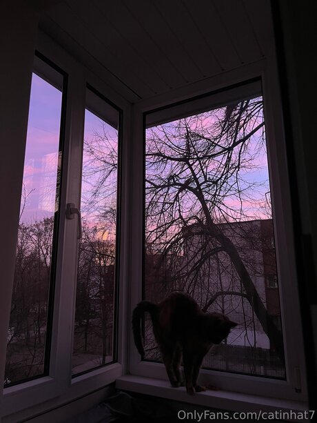 Catinhat7 porno nackt galerien