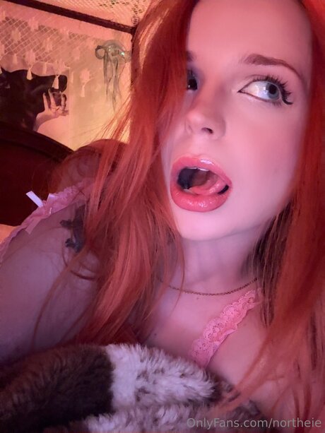 Northeie kostenlose exklusive foto