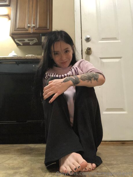 Yourmagnoliajett perfekte schöne archiv