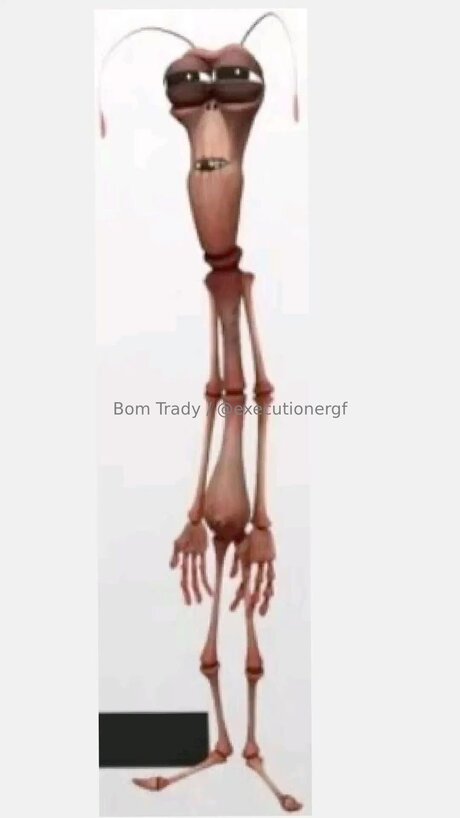 Executionergf heiße pornographische fotos