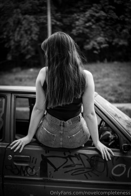 Novelcompleteness kunst foto