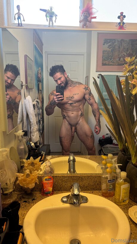 Domsluvz exklusive archiv