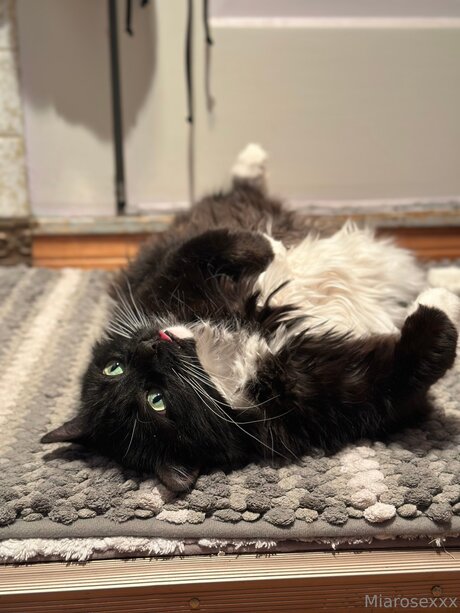 Miarosexxx schöne kunst bilder