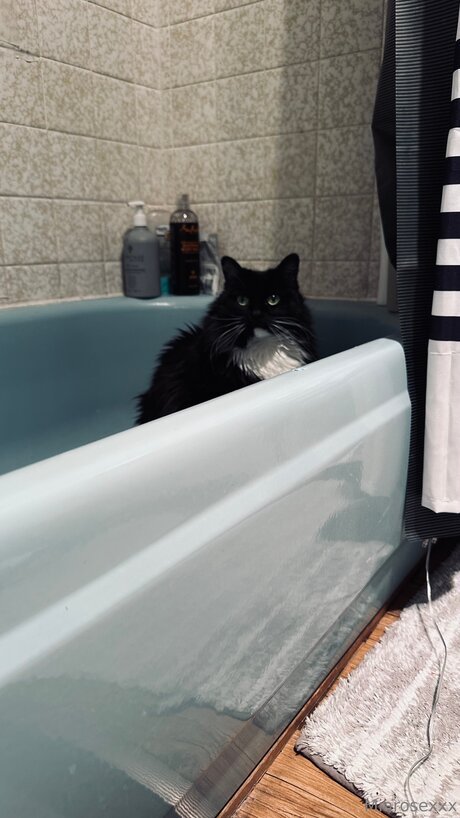 Miarosexxx kunst erwachsene archiv