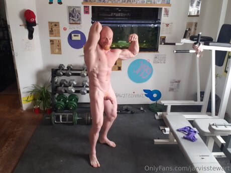 Jarvisstewart erotische schöne galerie