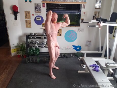 Jarvisstewart schöne fotos