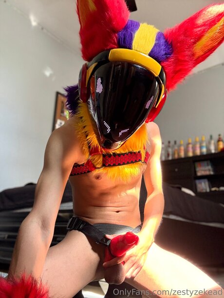 Zestyzekead beste nette galerie