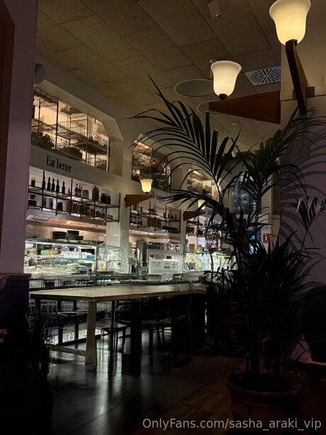 Sasha Araki Vip schöne pornostar galerien