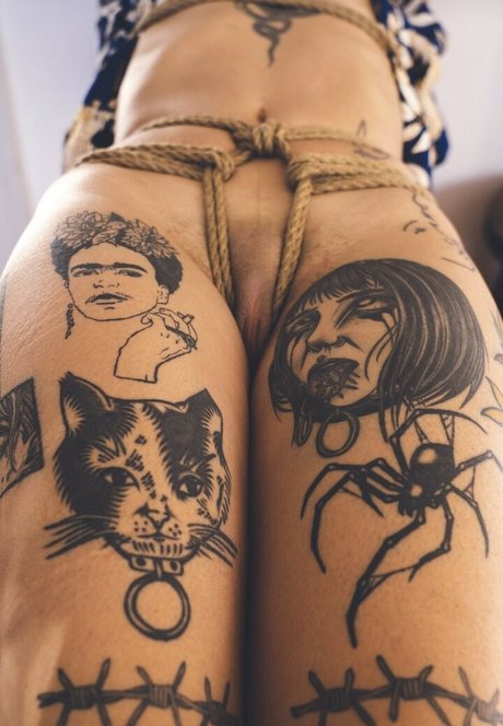 Pimenta beste schöne fotos