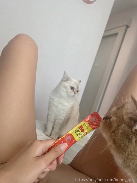Bunny Keys_ erotische hübsche fotos