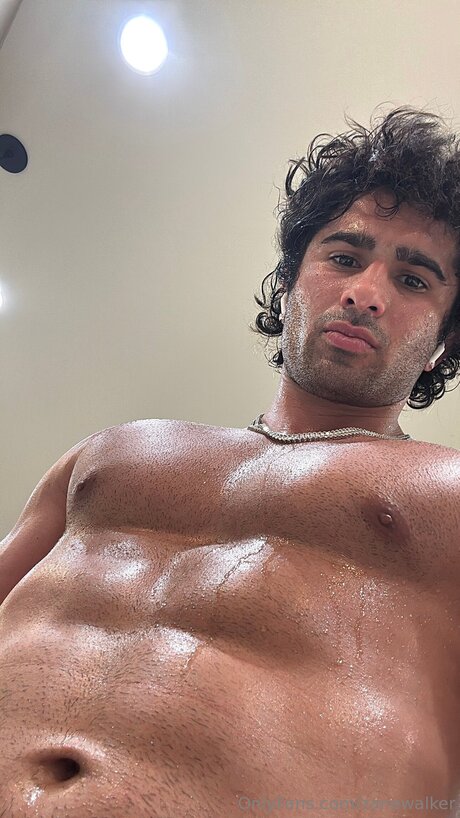 Zanewalker model top archiv