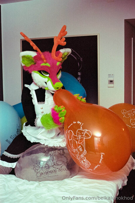 Belkalunokhod kunst xxx archiv