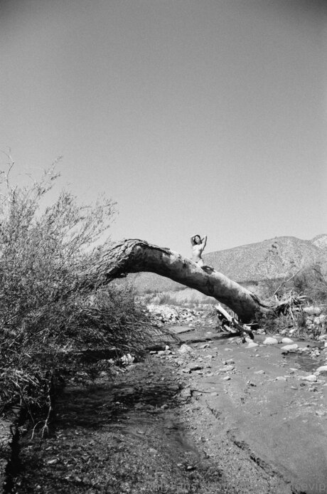 betrügende hotwife onlyfans sexy nackt galerien