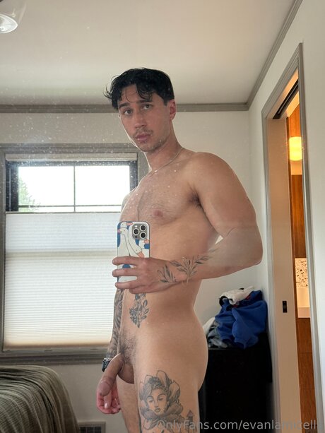 Evanlamicella schöne freie bild