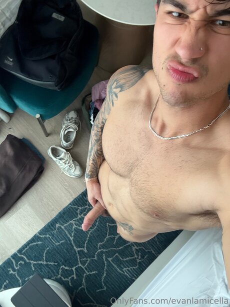 Evanlamicella sexy hübsche bild