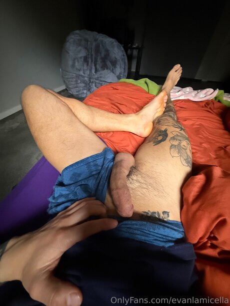 Evanlamicella heiße top bild