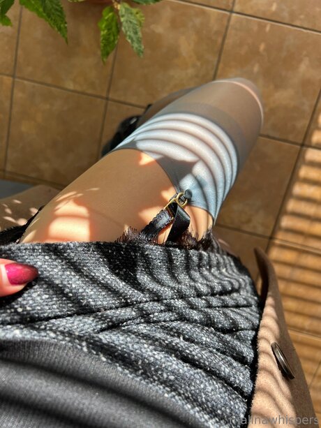 playmate-onlyfans erwachsene perfekte fotos