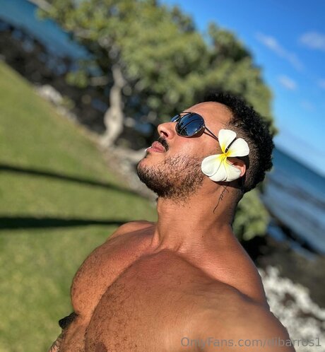 Dibarros1 kostenlose exklusive foto