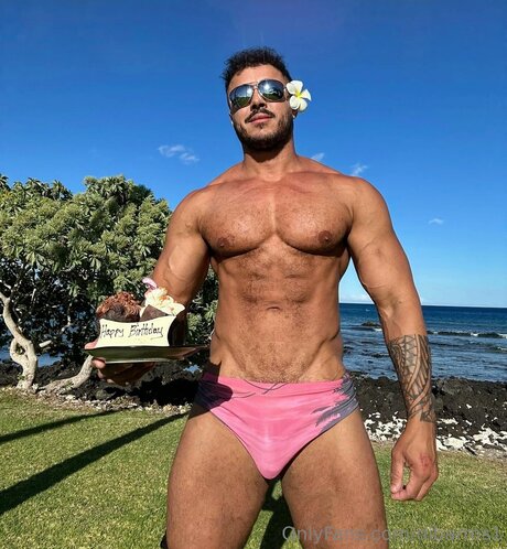 Dibarros1 perfekte beste galerie