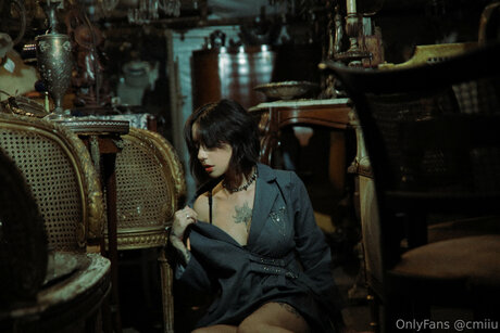 Cmiiu model top galerie