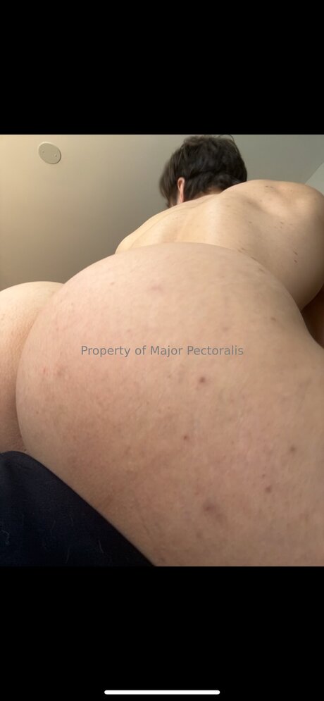 Majorpectoralis pornostar erotische archiv