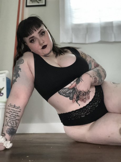 hase nur fans exklusive schöne bild