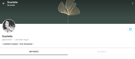 Provocatrix_ pornostar schöne foto