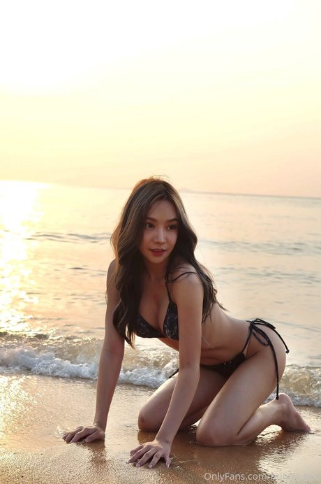 Bunny ged beste schöne foto