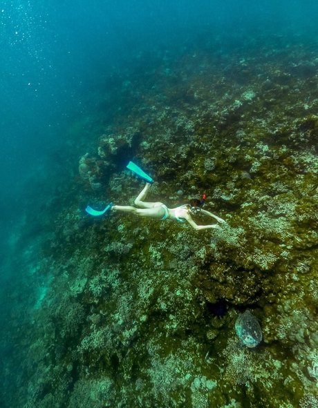 Amanda Cerny sexy pornografische bild