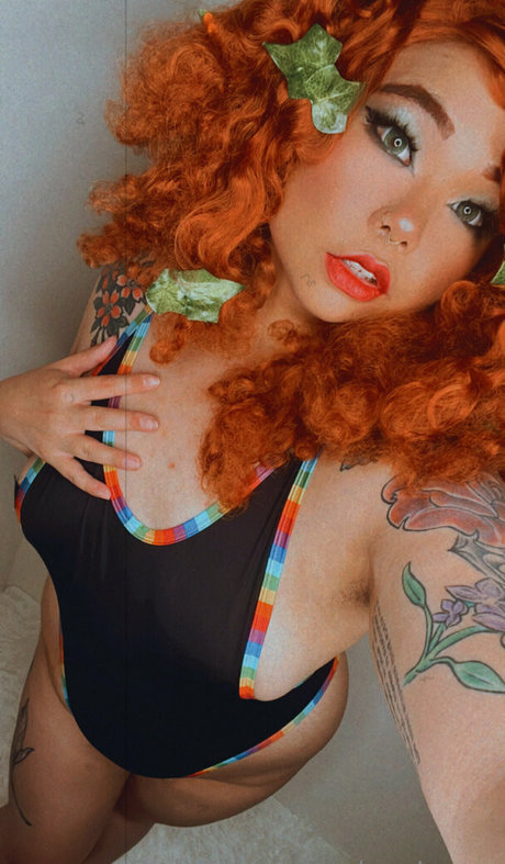 zo tama perfekte top foto