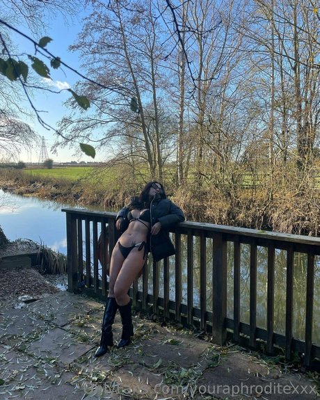 reife pawg-onlyfans freie pornographische foto