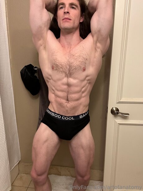 Artofanatomy schöne hd galerie