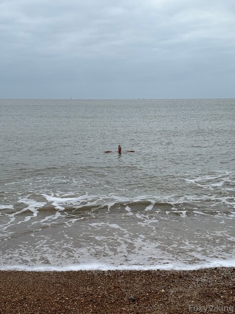 Foxyviking model kunst bild