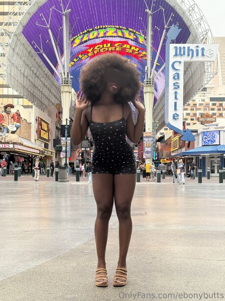 Ebonybutts perfekte pornographische foto