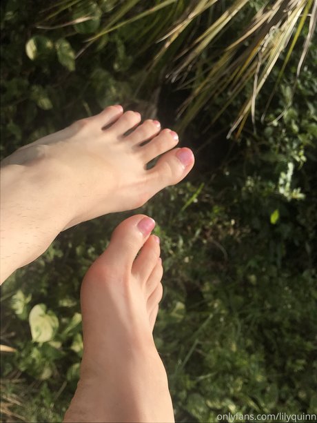 Lily Quinn exklusive kunst galerie