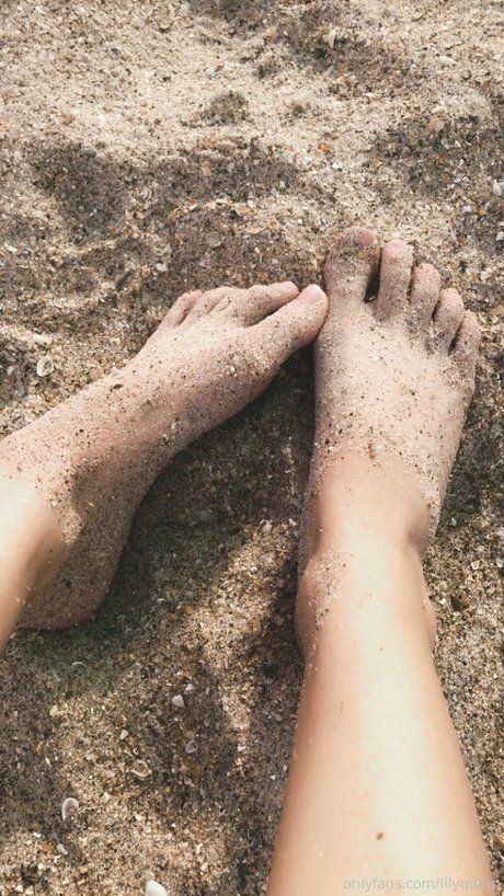 Lily Quinn schöne hd archiv