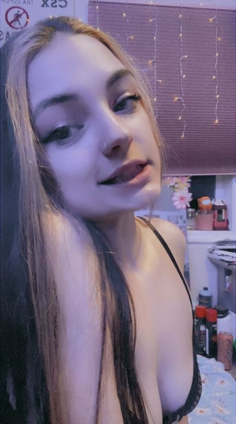 Indicaorsativa top freie foto