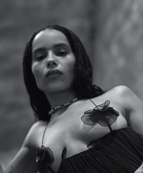 Zoe Kravitz schöne pornografische galerie