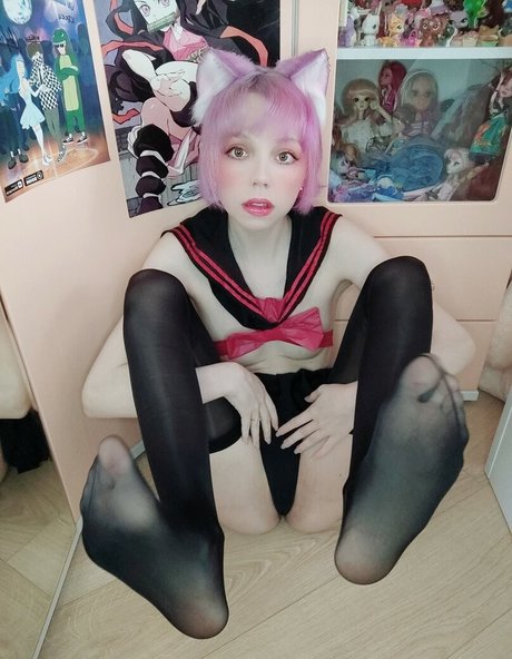 Zephyr Cat hd galerien