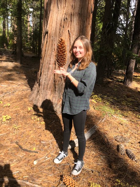 Caliwife13 Emma North heiße erotische galerien