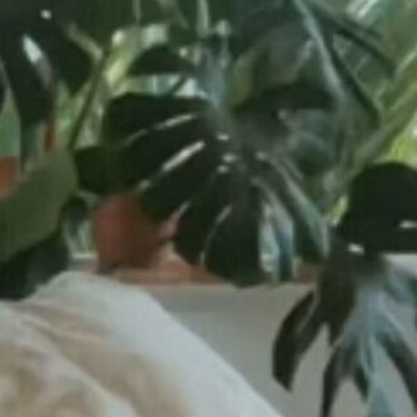 Estelleonline pornostar akt foto