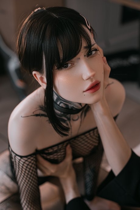 Vell Felice_ top beste bilder