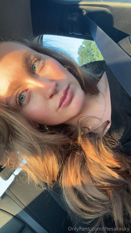 Thesarasky kunst perfekte foto