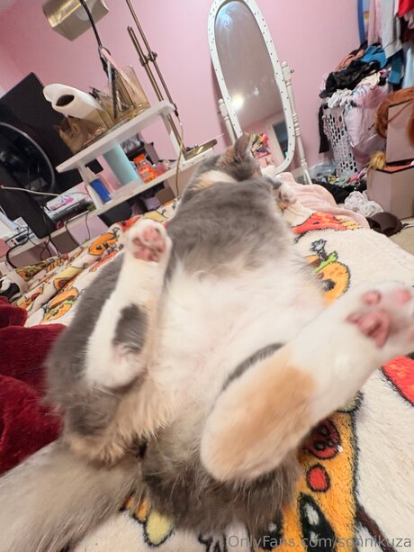 Sonnikuza erotische nackt galerien