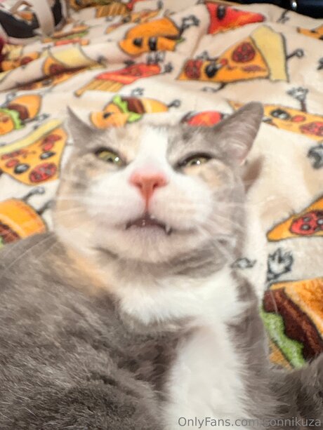 Sonnikuza hübsche kunst galerie