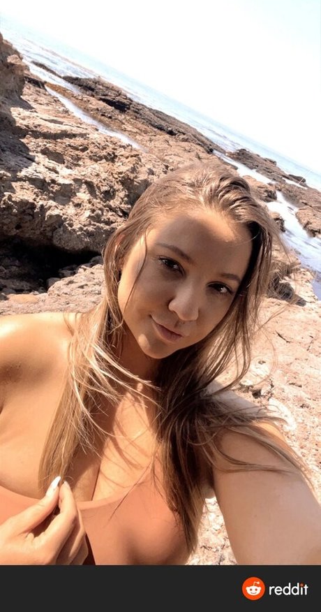 mollige kätzchen-onlyfans freie kunst bilder