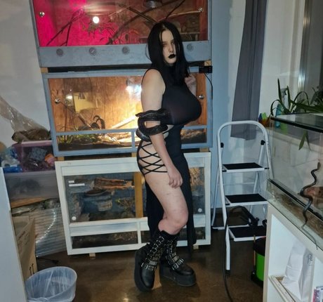 thethreeheadedsnake perfekte kostenlose foto