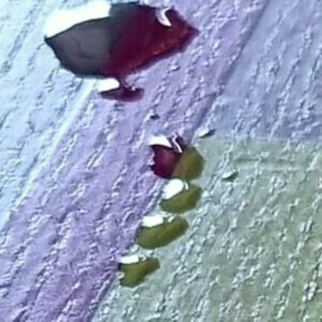 scarlett johnson24 heiße schöne bilder