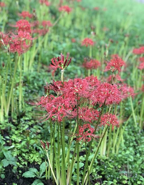 sperma auf der zunge onlyfans erotische porno archiv